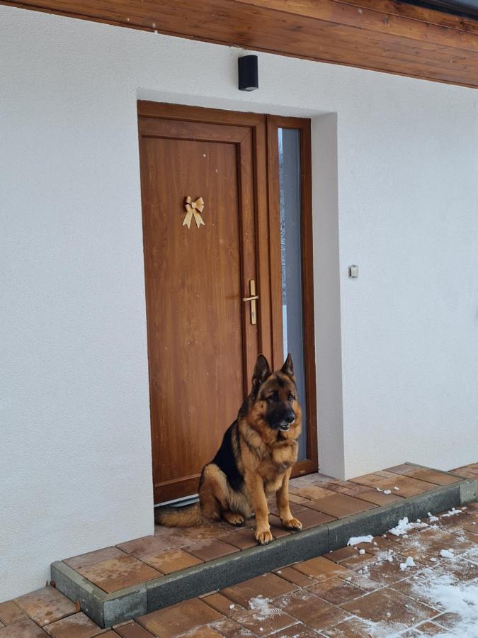Apartmany Bystra-Chopok Brezno Eksteriør billede